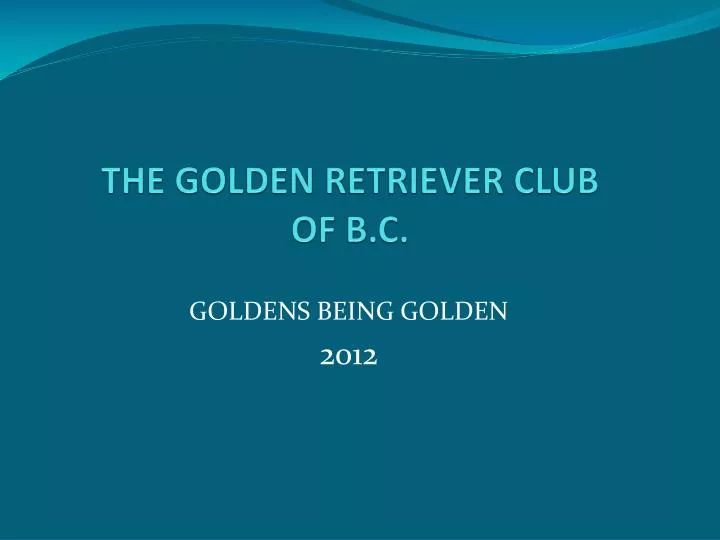 the golden retriever club of b c