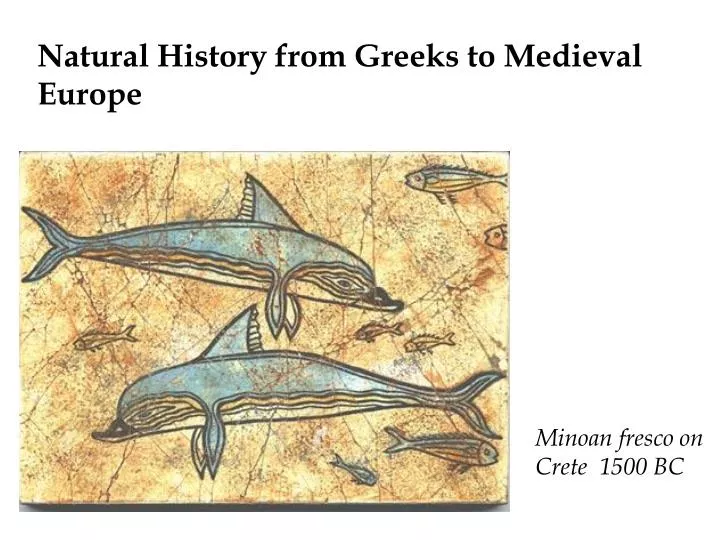 natural history from greeks to medieval europe
