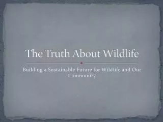 The Truth About Wildlife