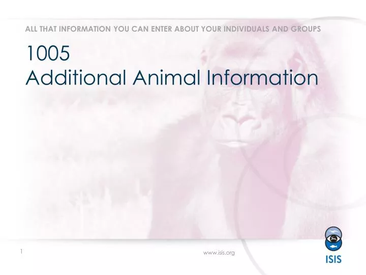 1005 additional animal information