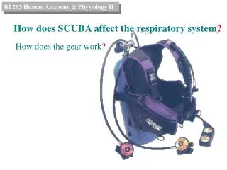 How does SCUBA affect the respiratory system ?