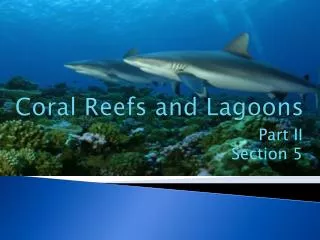 Coral Reefs and Lagoons