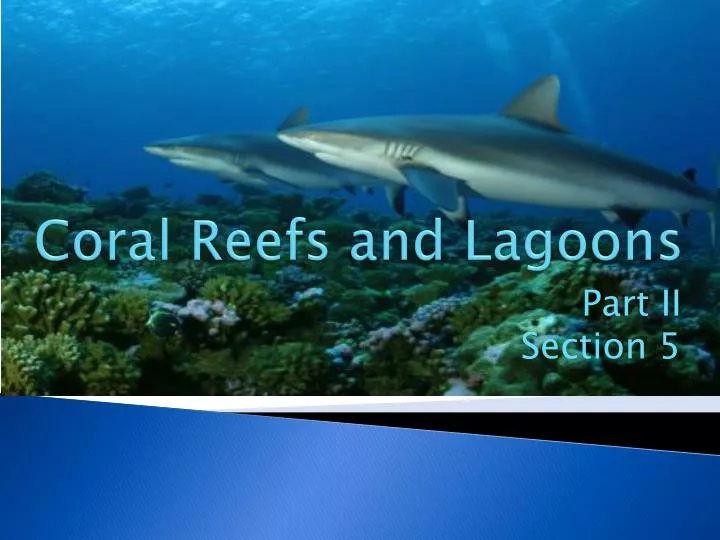 coral reefs and lagoons