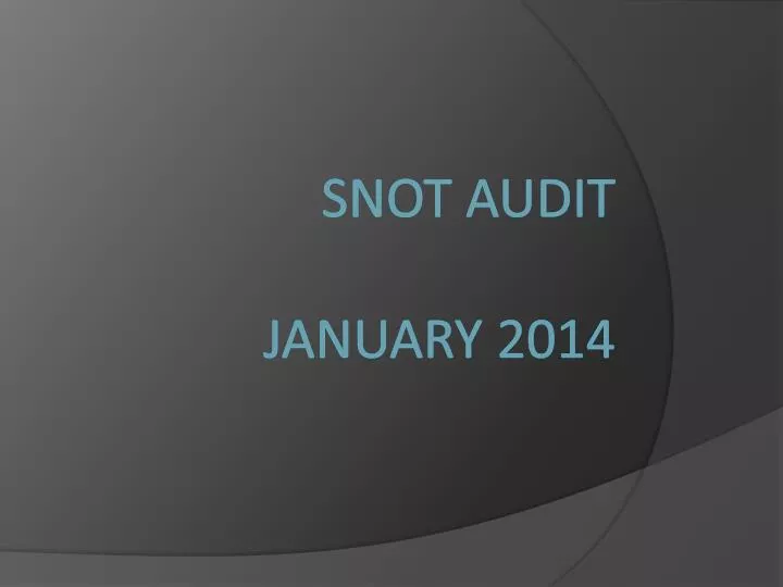 snot audit january 2014