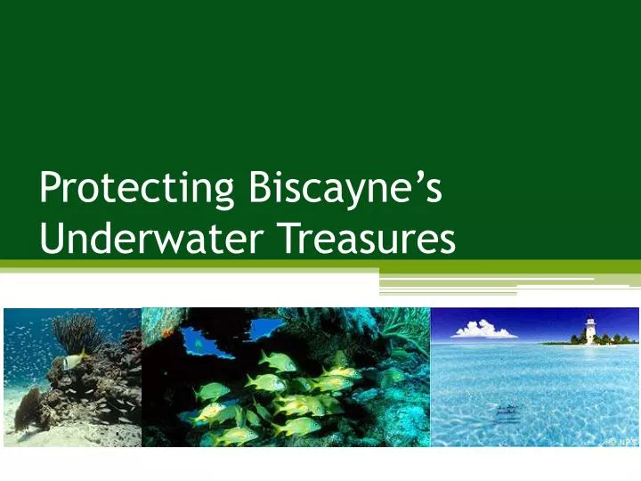 protecting biscayne s underwater treasures