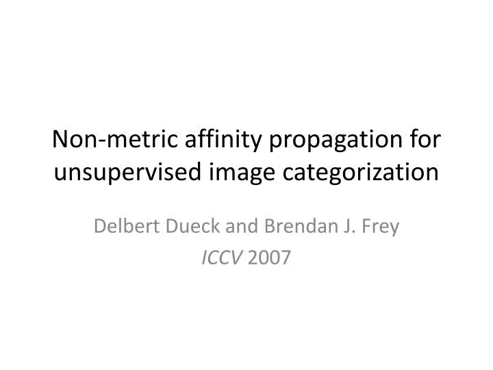 non metric affinity propagation for unsupervised image categorization
