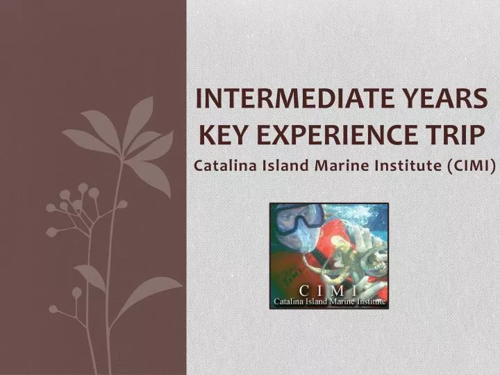 intermediate years key experience trip