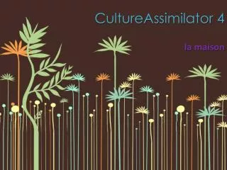 CultureAssimilator 4