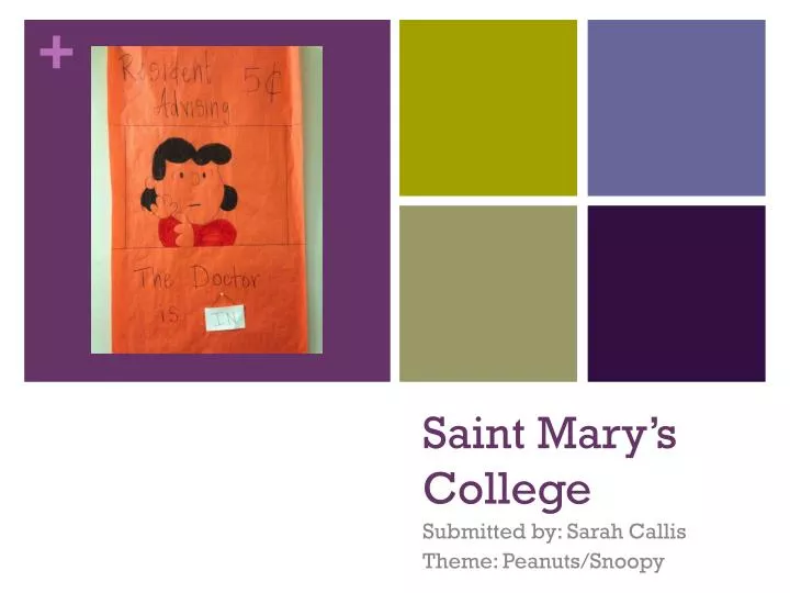 saint mary s college