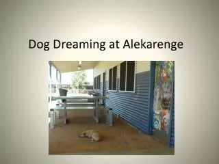 Dog Dreaming at Alekarenge