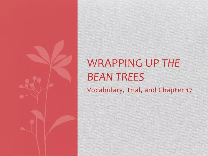 wrapping up the bean trees