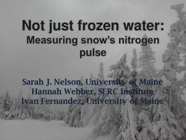 not just frozen water measuring snow s nitrogen pulse