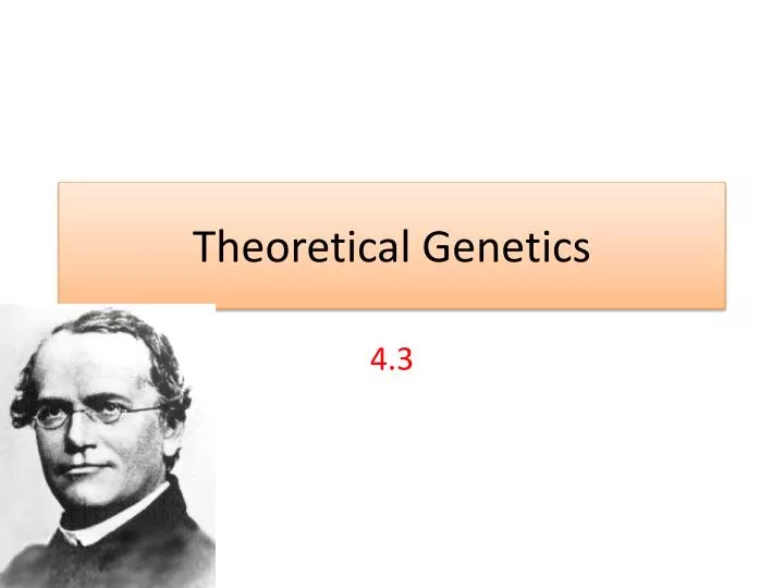 theoretical genetics