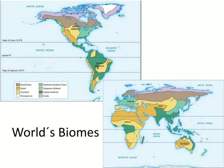 world s biomes