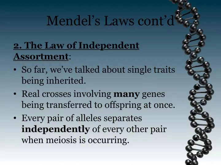 mendel s laws cont d