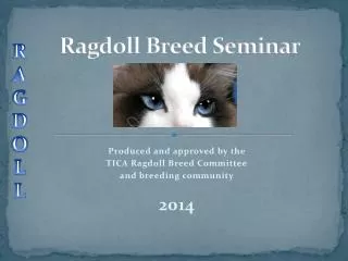 Ragdoll Breed Seminar