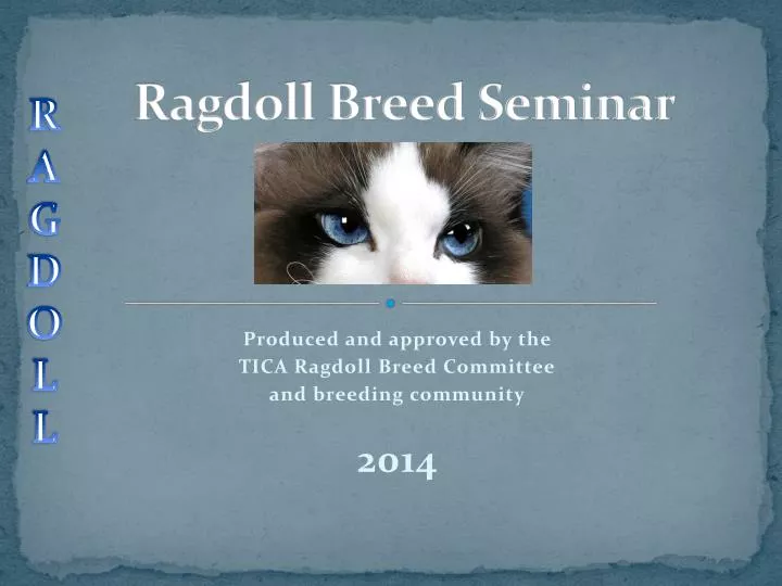 ragdoll breed seminar