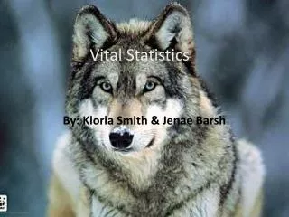 Vital Statistics