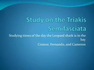 Study on the Triakis Semifasciata