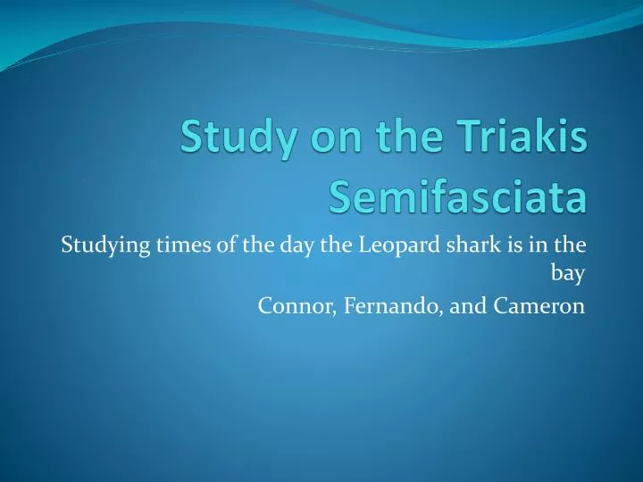 study on the triakis semifasciata