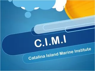 C.I.M.I