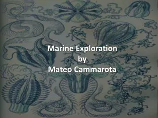 Marine Exploration by Mateo Cammarota
