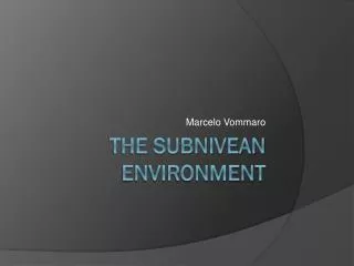 The Subnivean Environment