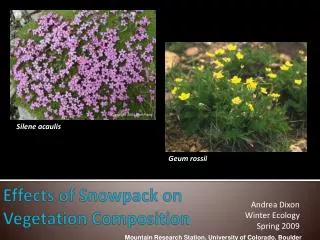 Effects of Snowpack on Vegetation Composition