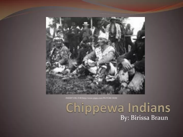 chippewa indians