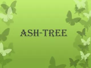 Ash-tree