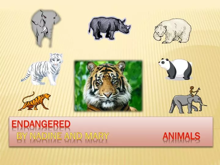 endangered by nadine and mary animals