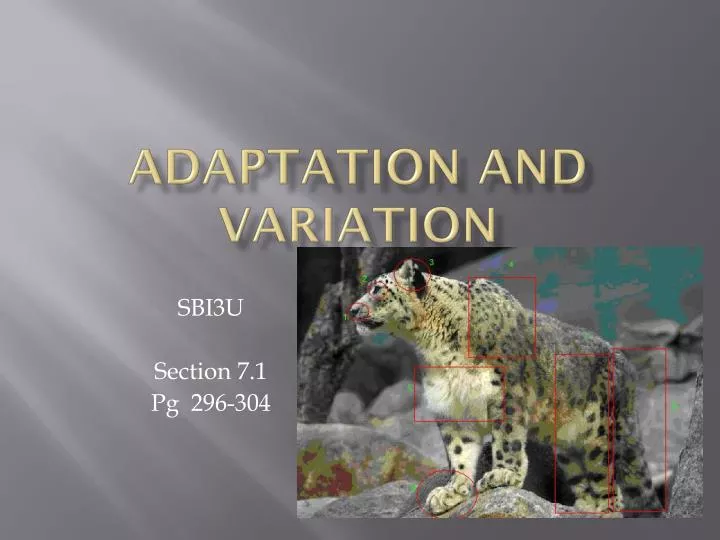 adaptation and variation