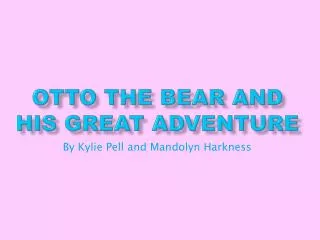 Otto the Bear and His Great Adventure