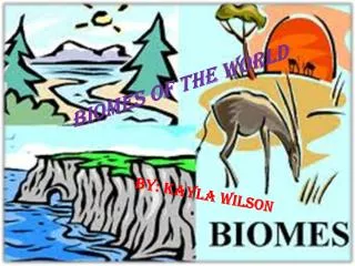 Biomes O f T he World