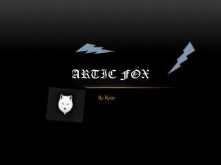 Artic fox