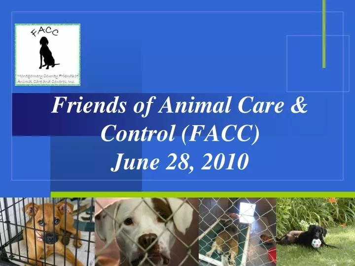 friends of animal care control facc june 28 2010