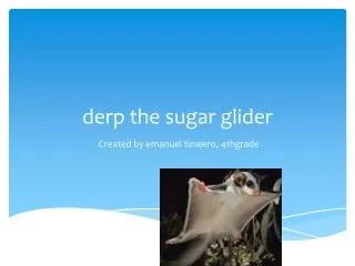 derp the sugar glider