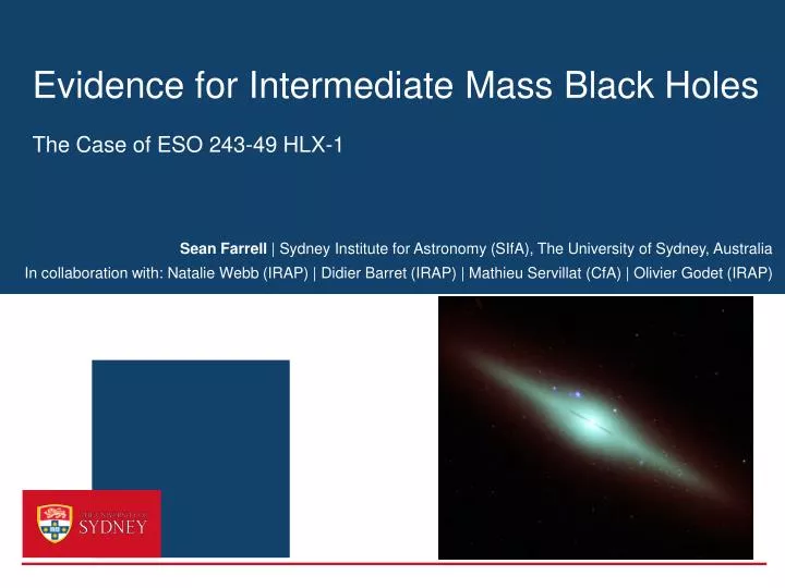 evidence for intermediate mass black holes