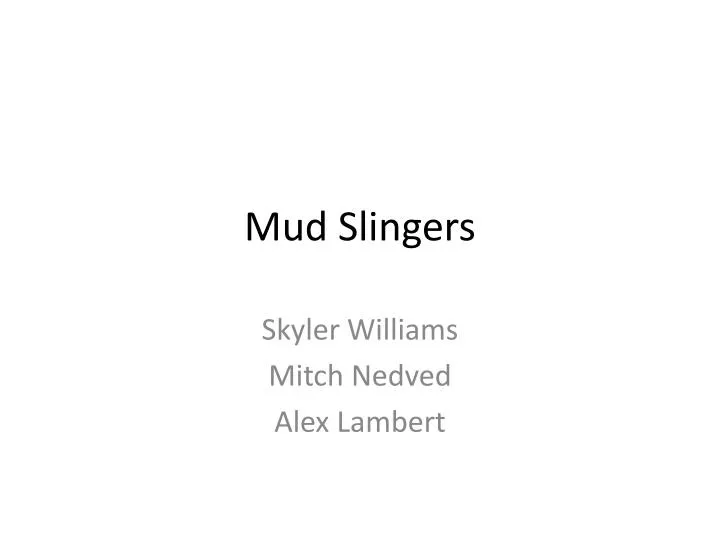 mud slingers