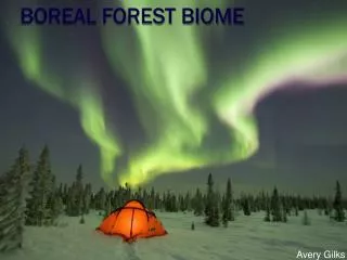 Boreal Forest Biome