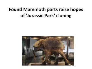 Found Mammoth parts raise hopes of 'Jurassic Park' cloning