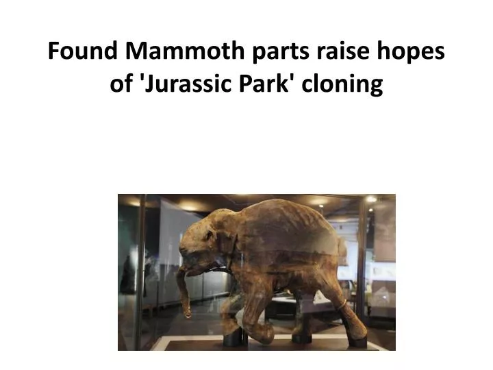 found mammoth parts raise hopes of jurassic park cloning