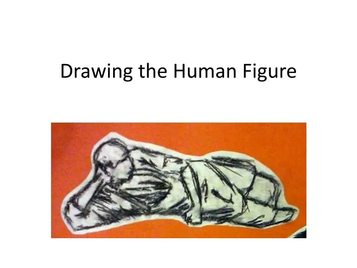 drawing the human figure