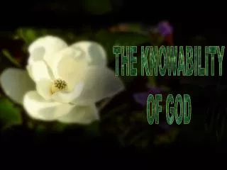 THE KNOWABILITY OF GOD