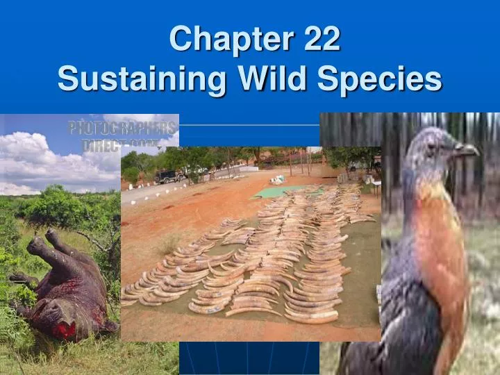 chapter 22 sustaining wild species