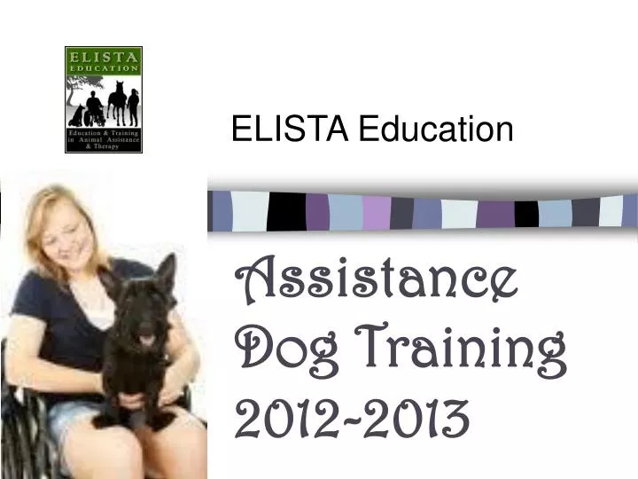 assistance dog training 2012 2013