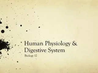 Human Physiology &amp; Digestive System