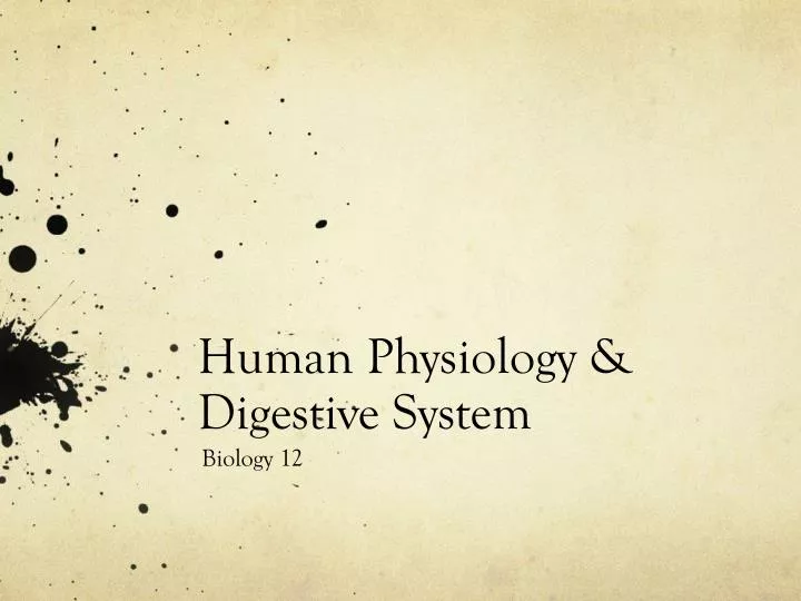 human physiology digestive system