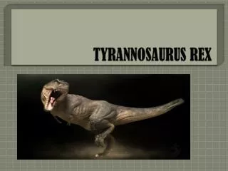 TYRANNOSAURUS REX