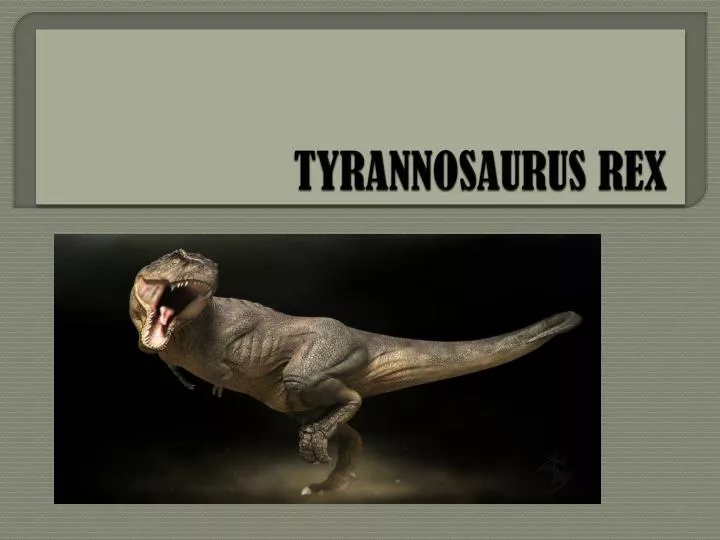 tyrannosaurus rex